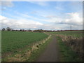 Spring Lane towards Foulby