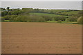 Field, Culm Valley