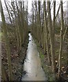 Lubbesthorpe Brook in the Osiers Nature Area