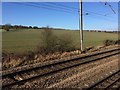 View from a Peterborough-London train - Fields near Woolmer Green