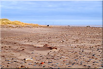 TA3910 : Beach at Spurn Head by Mike Pennington