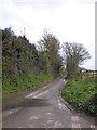 Minor road from Woolston towards Salcombe