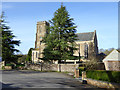 Tree in Corsley churchyard (and also a church)