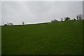 Stroud District : Grassy Field