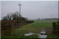 Stroud District : Grassy Field & Gate