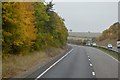 A303, Maperton Ridge