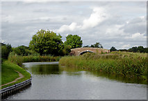 SK3705 : The Ashby Canal east of Congerstone in Leicestershire by Roger  D Kidd