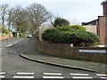 Trees on Elmsleigh Gardens, Cleadon