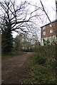 Path beside the River Leam