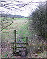 Footpath from Standish Lower Ground to Lower Wood Farm