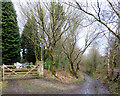 Footpath near Giants Hall, Standish Lower Ground