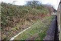 Charter train passing platform of the (former) North Filton Station