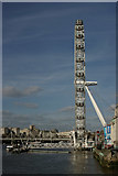 TQ3079 : The London Eye by Peter Trimming