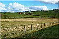 NS3930 : Helenton Farmland View by Mary and Angus Hogg