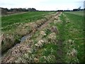 Public footpath heading west alongside a small stream