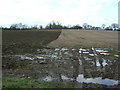 Field near Sandpit Farm