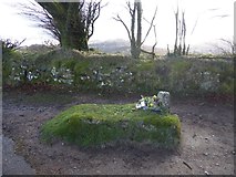 SX7379 : Jay's Grave by David Smith