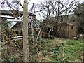 Neglected garden in Middle Road, Ore