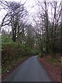 Road through woodland at Heatree