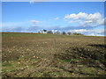 Stony field at Dembleby