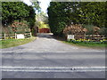 Pellingbridge entrance with daffodils