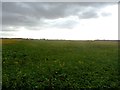 Crop Field Pictured from Roman Ridge