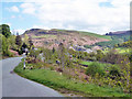 View down Cwm Rhiweirth