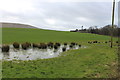 Farmland at Merkland