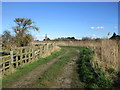 Track alongside the junction of the Hatfield Waste Drain and the South Soak Drain