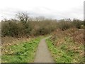 Footpath near Bedlington Bank