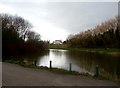 Cross-Grid View in Highfields Country Park