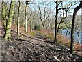 A walk to Meltham Mills Reservoir 10 - path alongside the reservoir