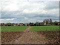 Field path approaching Cotgrave