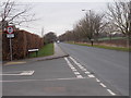 Forest Lane - viewed from Sherwood Drive