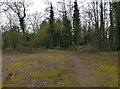 Site of a former pavilion on the Aylestone Playing Fields