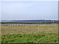 Solar farm north of Millbank Lane