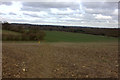 View towards Redbourn