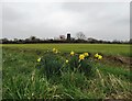 View to Alkborough