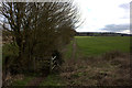 Hertfordshire Way looking towards Redbournbury