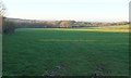 Field near Three Gates Cross