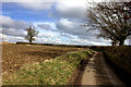 Beesonend Lane looking East