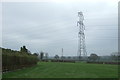 Grazing and pylon, Pickford Green 