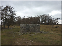 SD4890 : Ruined building, Helsington Barrows by Karl and Ali