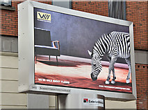 J3373 : Zebra digital advertising, Belfast (March 2017) by Albert Bridge