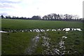 Wet field near Luce Mains