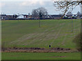 Farmland on the edge of Wigston Magna