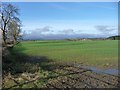 Farmland on the north side of Lanehead Lane