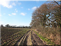 Path between Bentley Lane and Old Lane, Hilldale