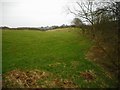 Field south of Neilston