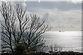 Looking towards the Sea, Falmouth, Cornwall